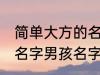 简单大方的名字男孩名字 简单大方的名字男孩名字推荐