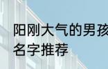 阳刚大气的男孩名字 阳刚大气的男孩名字推荐