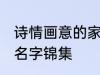 诗情画意的家族名字 诗情画意的家族名字锦集