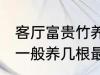 客厅富贵竹养几支最旺运 水养富贵竹一般养几根最旺财