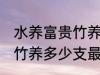 水养富贵竹养几支最旺运财 水养富贵竹养多少支最旺运财