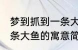 梦到抓到一条大鱼有什么兆头 梦见一条大鱼的寓意简介