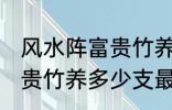 风水阵富贵竹养几支最旺运 风水阵富贵竹养多少支最旺运