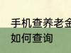 手机查养老金怎么查询 手机查养老金如何查询