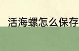 活海螺怎么保存 活海螺的保存方法