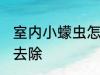 室内小蠓虫怎样去除 室内小蠓虫如何去除