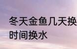 冬天金鱼几天换一次水 冬天金鱼多长时间换水