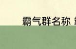 霸气群名称 霸气群名称推荐