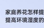 家庭养花怎样提高环境湿度 家庭养花提高环境湿度的技巧