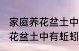 家庭养花盆土中有蚯蚓怎么办 家庭养花盆土中有蚯蚓的解决方法