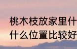 桃木枝放家里什么位置 桃木枝放家里什么位置比较好